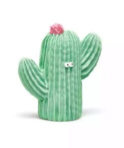 Cactus-lanco-monetes1