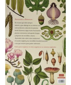 Libro-botanicum-impedimenta-monetes2