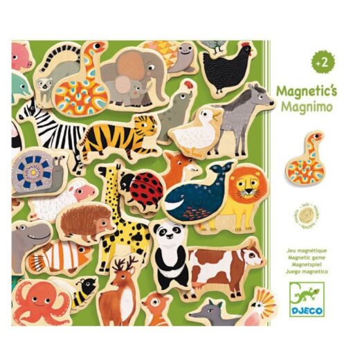 magneticos-magnimo-djeco-monetes