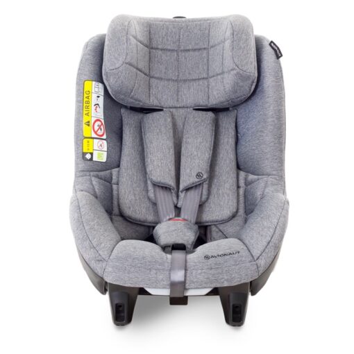 Silla Avionaut AeroFIX RWF Gris - Grupo 1 - Monetes