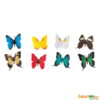 tubo-safari-mariposas-monetes1